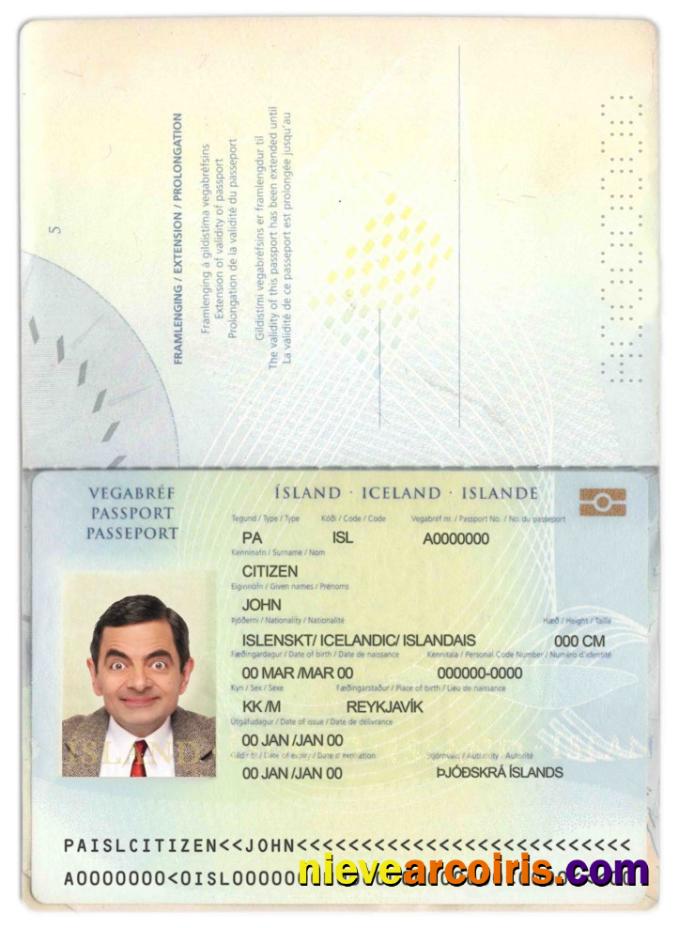 Iceland passport